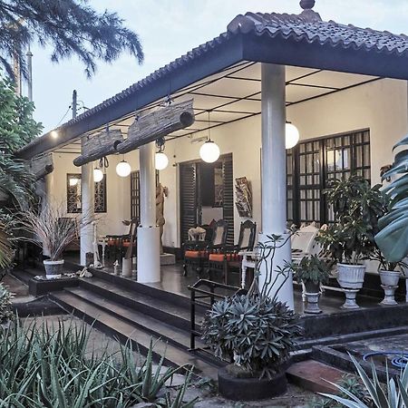 The Icebear Guesthouse Negombo Eksteriør bilde