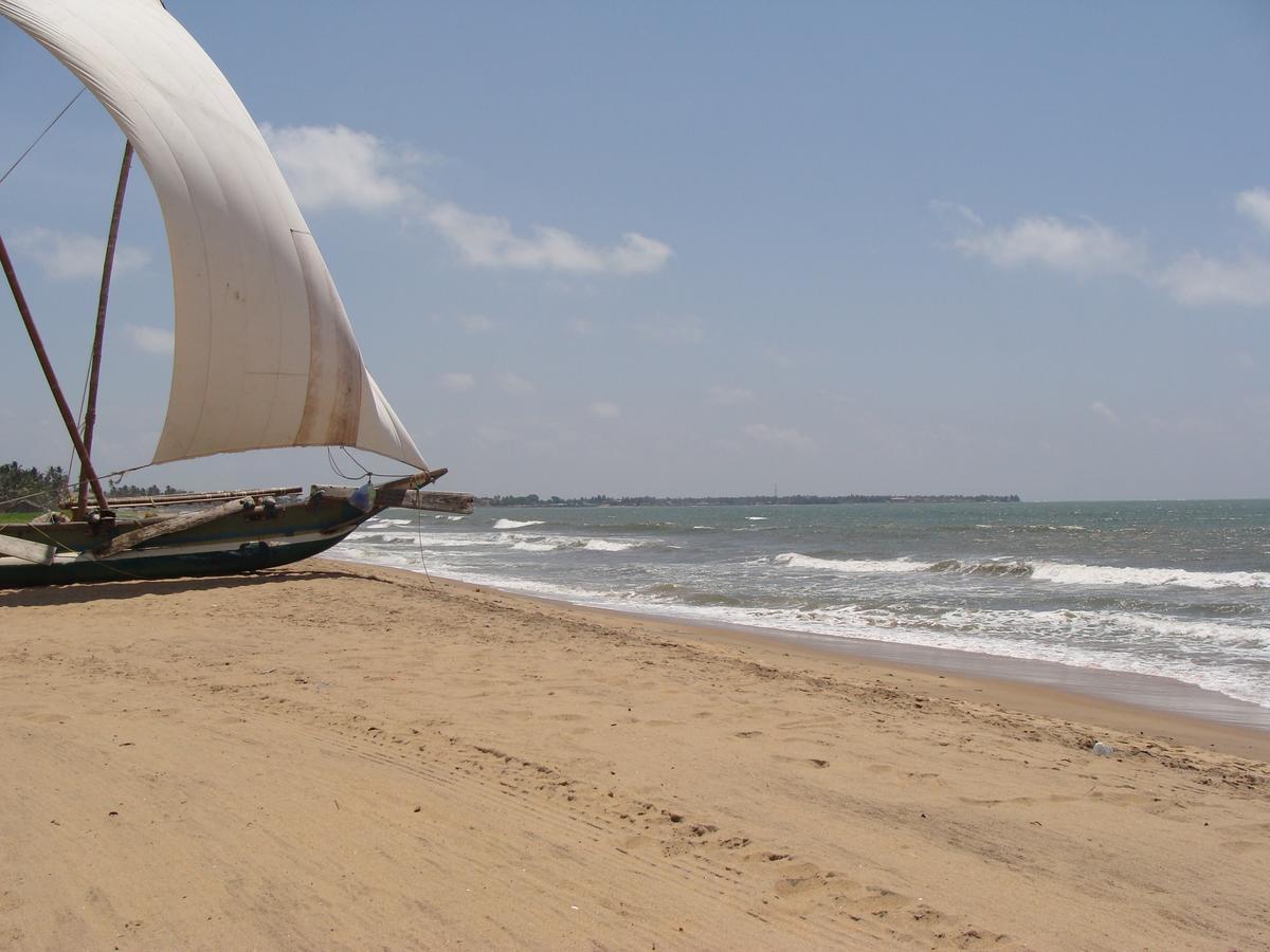 The Icebear Guesthouse Negombo Eksteriør bilde