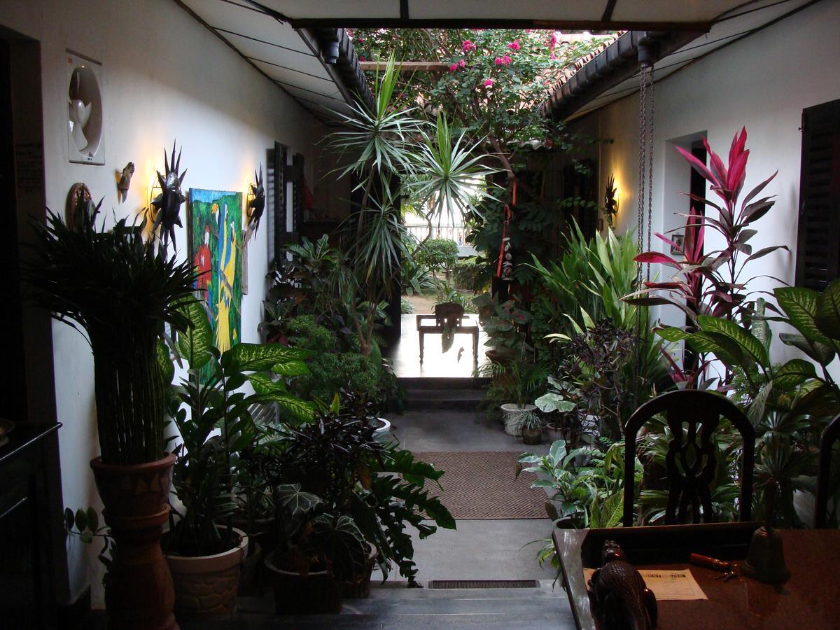 The Icebear Guesthouse Negombo Eksteriør bilde