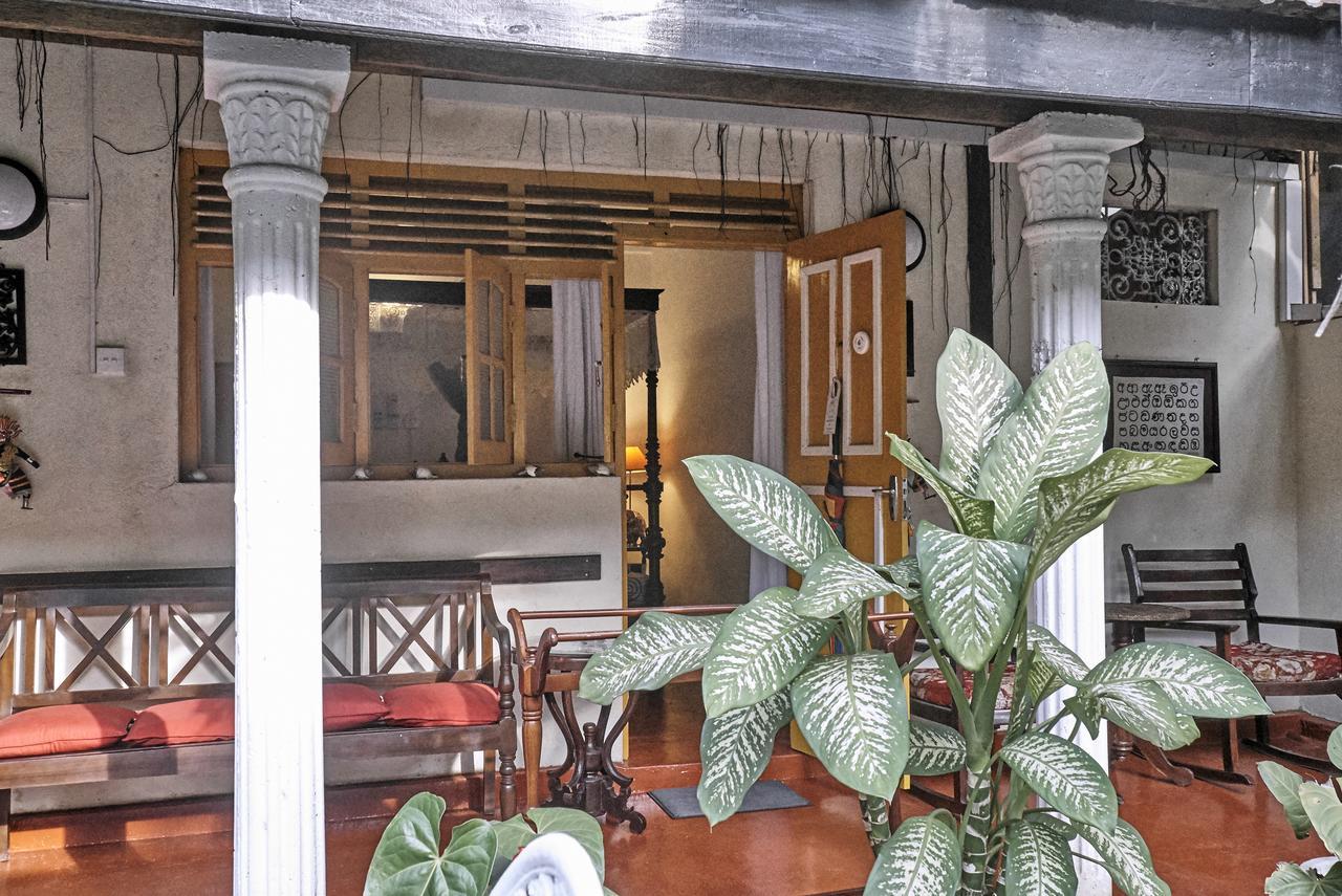 The Icebear Guesthouse Negombo Eksteriør bilde