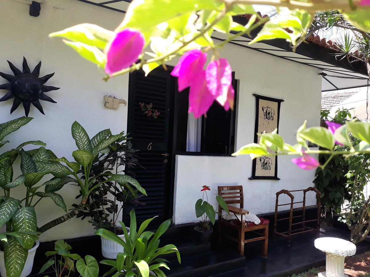 The Icebear Guesthouse Negombo Eksteriør bilde