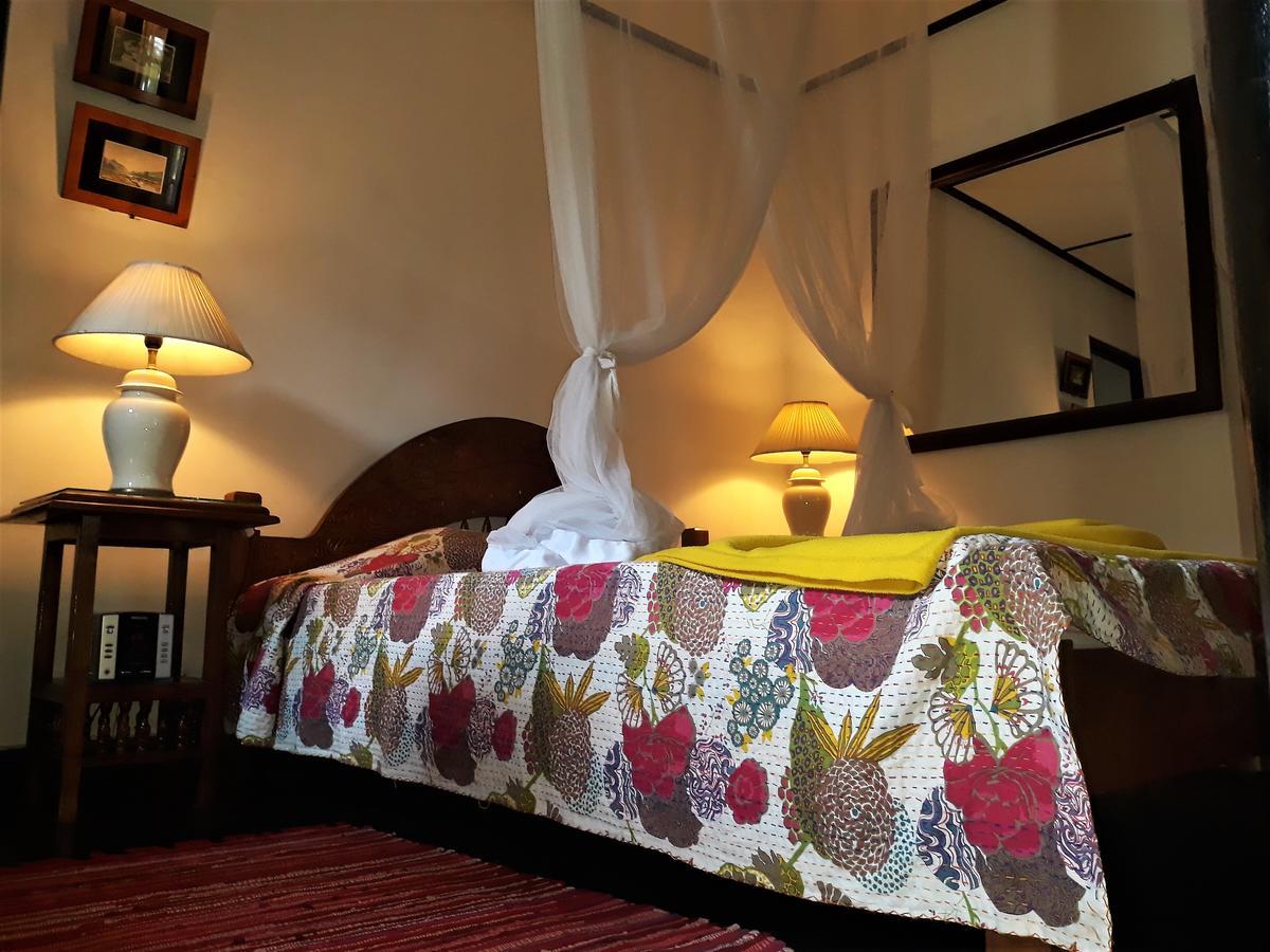 The Icebear Guesthouse Negombo Eksteriør bilde