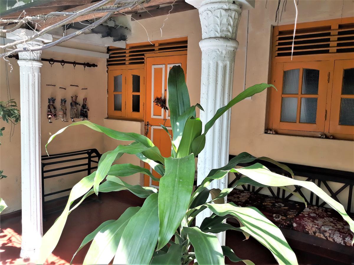 The Icebear Guesthouse Negombo Eksteriør bilde