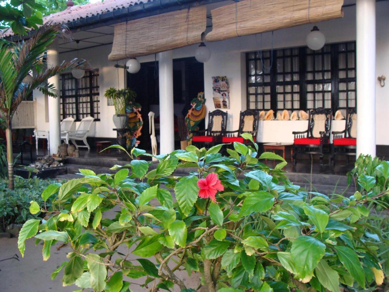 The Icebear Guesthouse Negombo Eksteriør bilde