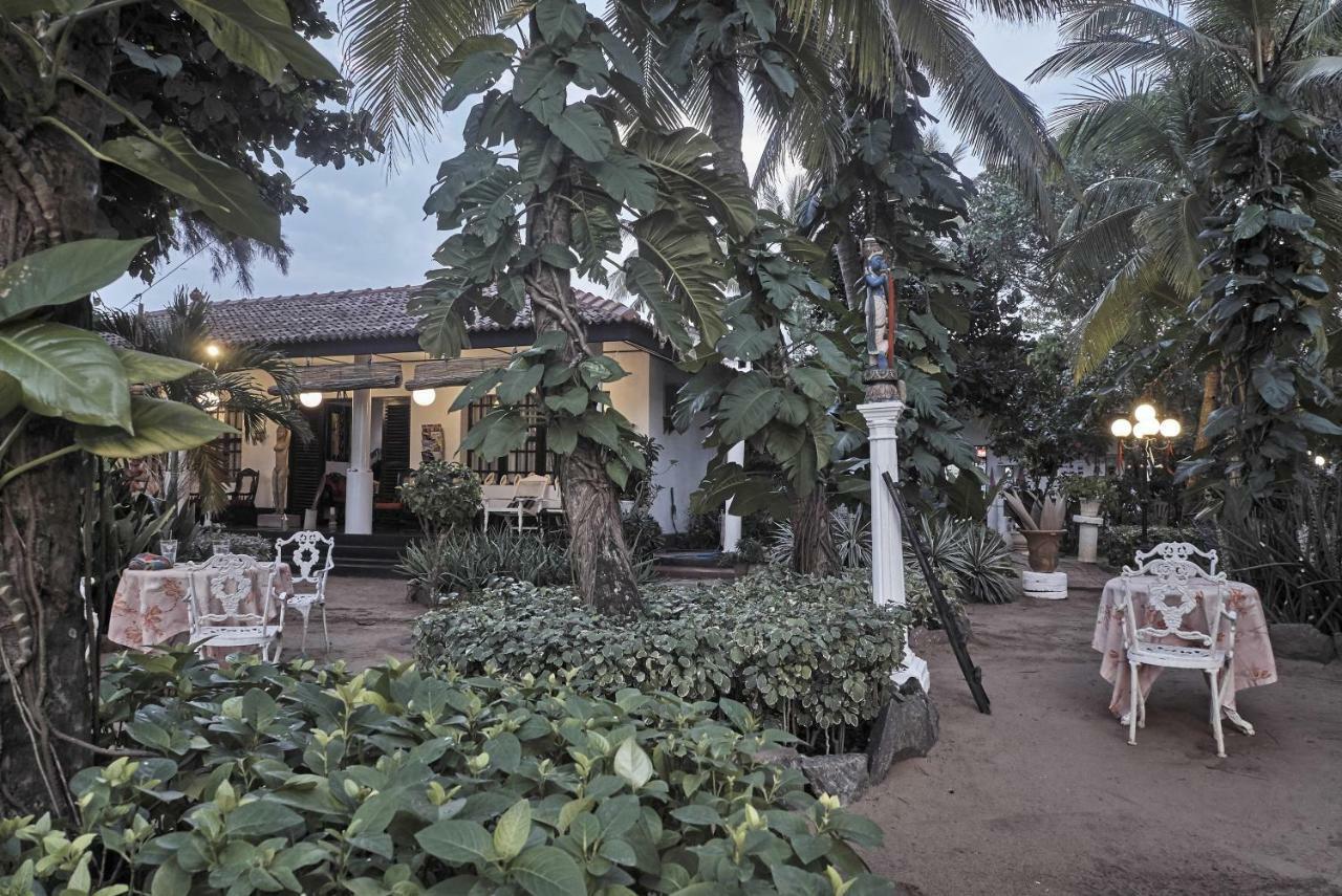 The Icebear Guesthouse Negombo Eksteriør bilde